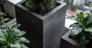 Miniaturowe krzewy zimozielone do ogrodu: wybór i pielęgnacja